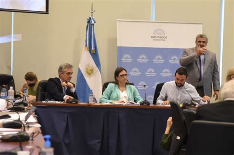 Comenz El Debate En Comisiones De Diputados Del Proyecto De Ley De