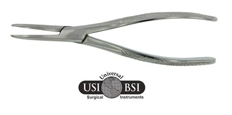 Extraction Forceps (Feline) - Universal Surgical Instruments