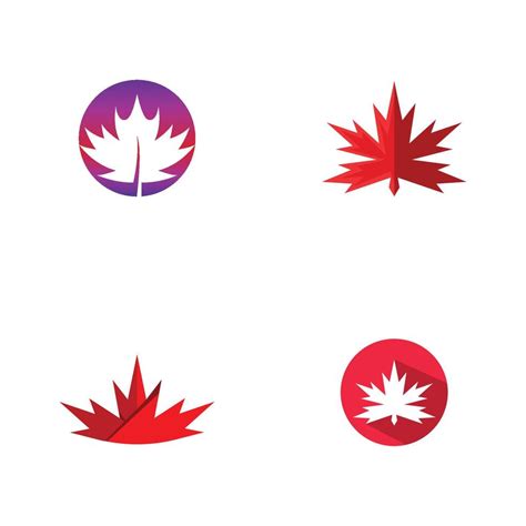 Maple leaf vector illustration 9966076 Vector Art at Vecteezy