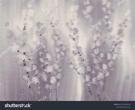 Pussy Willow Twigs Brown Watercolor Background Stock Illustration Shutterstock