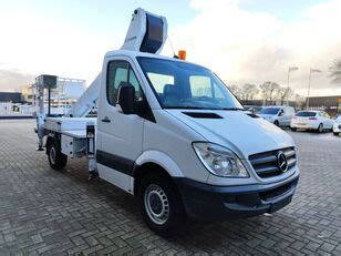 Mercedes Benz Sprinter 313 CDI Ruthmann TB 220 Autohoogwerker Te Koop