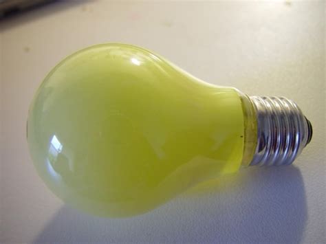 picture light bulb