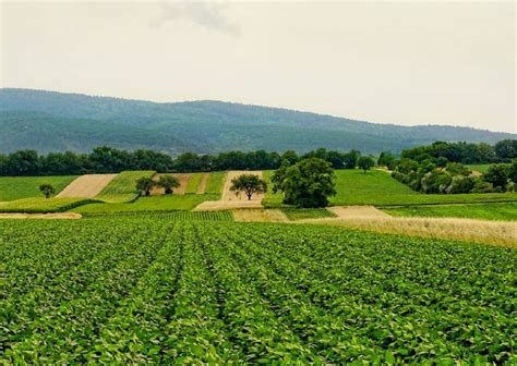 Popis Poljoprivrede U Oktobru Agro Saveti