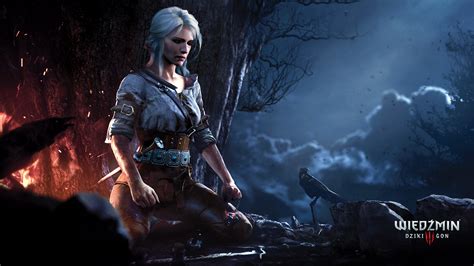 Wallpaper Video Game The Witcher Cirilla Fiona Elen Riannon The