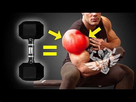 Best Dumbbell Exercises For Thicker D Shoulders Youtube T N