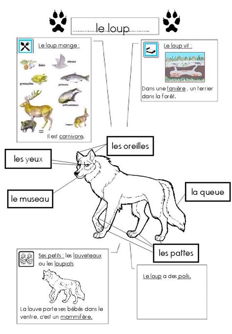 Épinglé Par Izabelle 0302 Sur Explorer Le Monde Pierre Et Le Loup