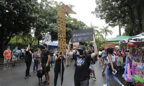 Grupo De Ativistas Protesta Contra Morte De Girafas No Bioparque