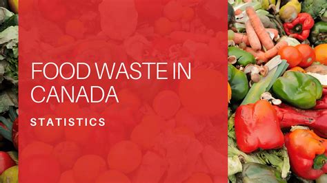 Food Waste Statistics 2024 Rosy Waneta