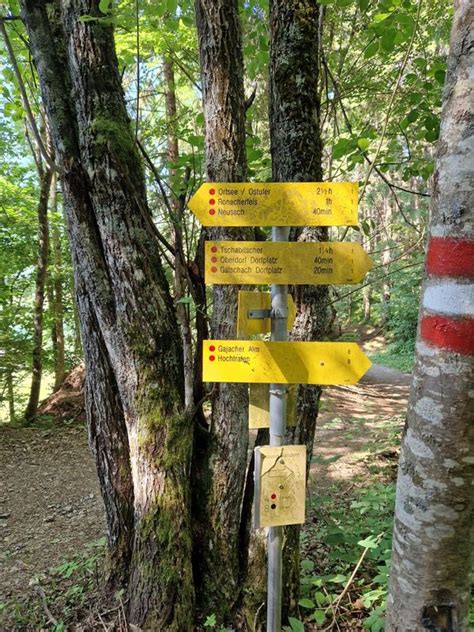 Von Techendorf Ber Den Hochtraten Zur Gajacher Alm Und Alm Hinterm Brunn