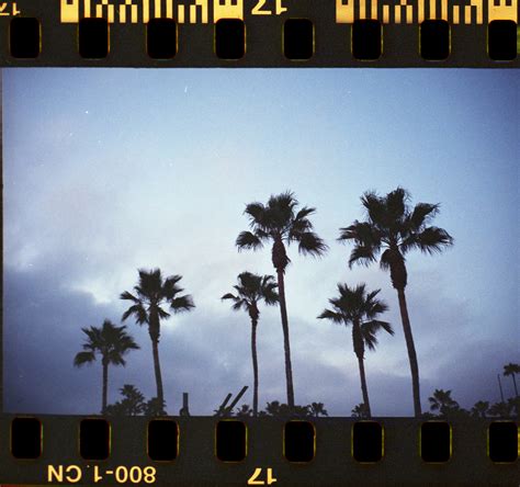 a 35mm film collection_ :: Behance