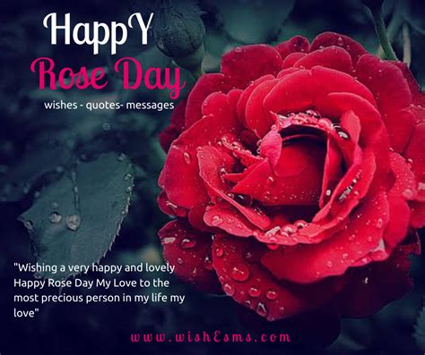 Rose Day Wishes Quotes And Messages Artofit