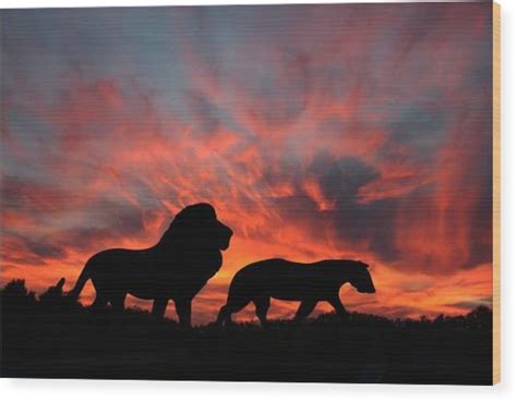 Lions On The Serengeti Digital Art By Dustie Meads