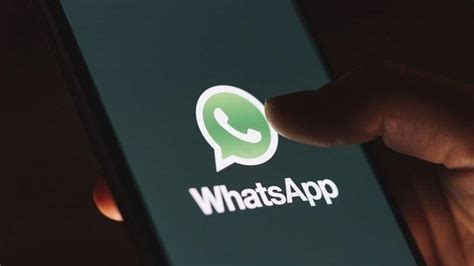 Tak Ribet Cara Sadap WhatsApp Hanya Dengan Nomor WA Simpel Dan Tak