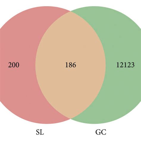 Venn Diagram Of Common Targets Between The SLC And GC After Searching