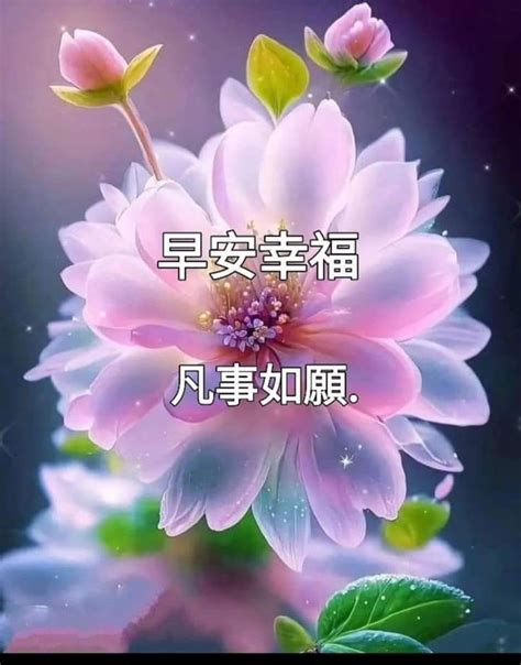 Pin By May On Good Morning Wishes Chinese In Good Morning