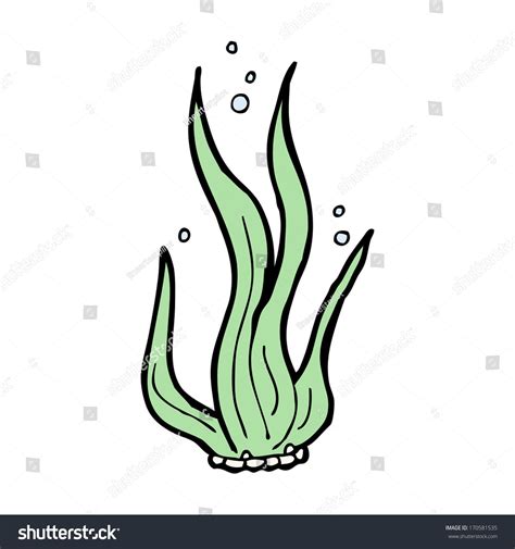 cartoon seaweed #Ad , #spon, #cartoon#seaweed Starfish Drawing, Coral ...