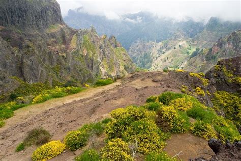 Thogan De Fotos GPS Madeira Ruivo Arieiro