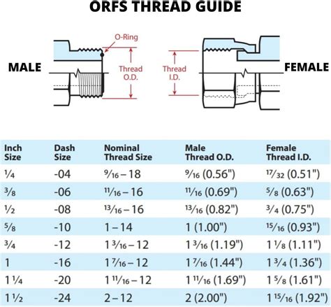 Hose X Female Orfs Swivel Degree Hydraulic Hose End Crimp Fitting