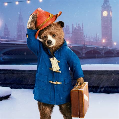 Paddington Ultra Hd Wallpaper For K Uhd Tv Desktop