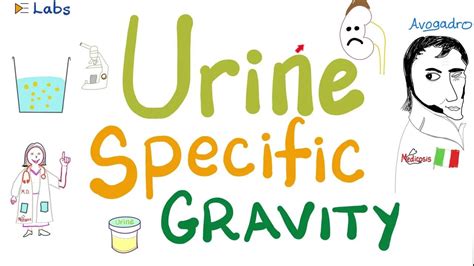 Urine specific gravity - Density - Concentrated vs Diluted Urine - Urinalysis