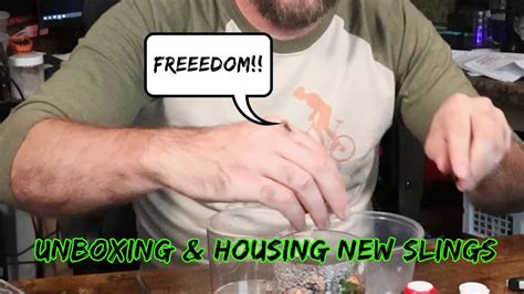 Tarantula Sling Unboxing In New Tarantulas From Fear Not