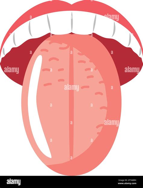 Lengua Anatomia Fotografías E Imágenes De Alta Resolución Página 12 Alamy