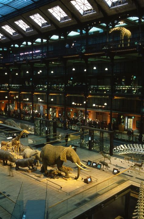 Grande Galerie De LÉvolution • Muséum National Dhistoire Naturelle