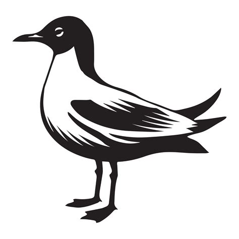 Black-headed Gull Silhouette, Chroicocephalus ridibundus Clipart, Black
