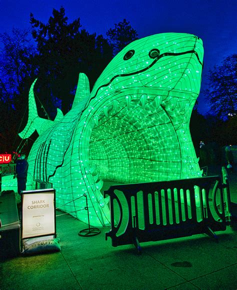 Wild Lanterns At Woodland Park Zoo Is A Glowing Triumph Westside Seattle