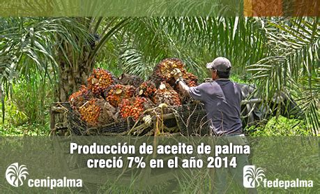 La Producci N De Aceite De Palma Creci En Fedepalma