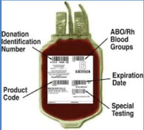 Blood Transfusion And Mtp Flashcards Quizlet