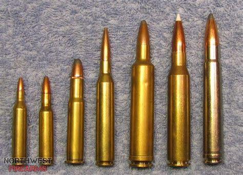 338 Lapua Ammo Vs 30 06