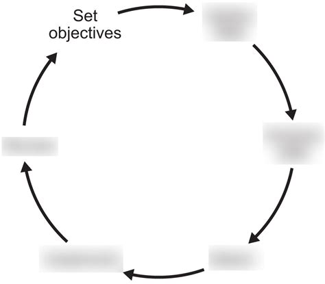 Scientific Decision Making Diagram Quizlet