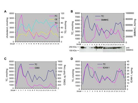 A Tg And Cholesterol Levels Over The Segments B D Smmhc Cd And