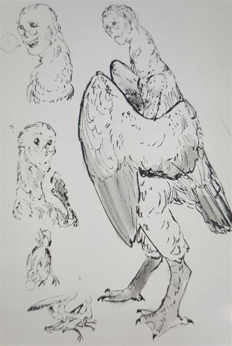 concept sketch of a bird monster design : r/CreatureDesign