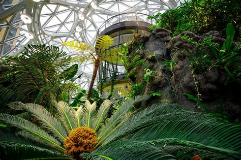 The Spheres in the New Amazon Headquarters | Wowow Home Magazine