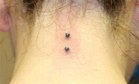 Body Surface Piercings Piercing Studio Wien