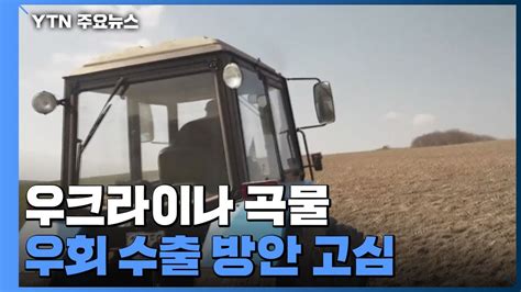 우크라이나 곡물 우회 수출 방안 고심 Ytn Youtube