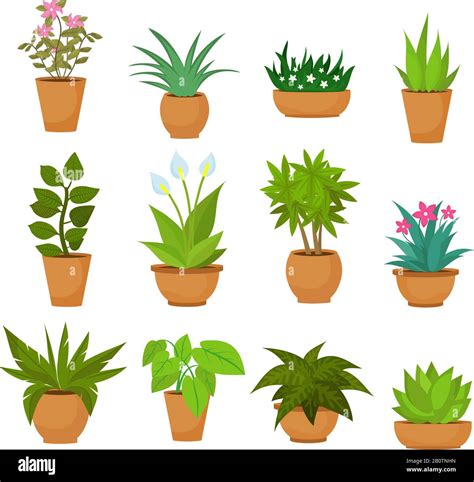 White Plant Stock Vector Images Alamy