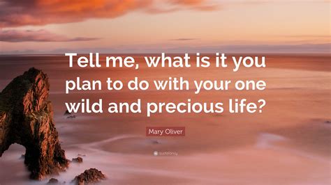 Mary Oliver Quote “tell Me What Is It You Plan To Do With Your One