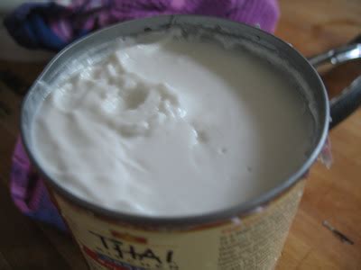 coconut milk options