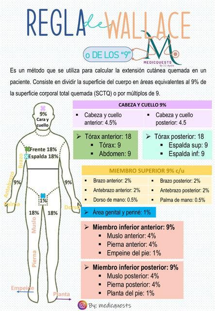 Res Menes De Regla De Wallace Descarga Apuntes De Regla De Wallace