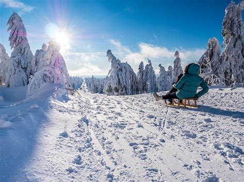 Casa Vacanza Come Sta Andando Il Mercato In Montagna Lignius