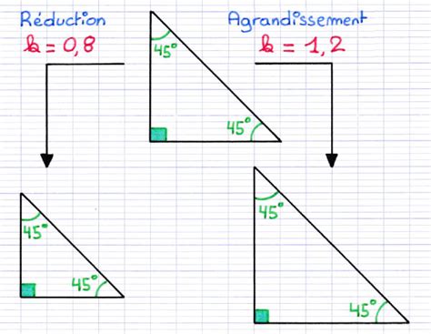 Comprendre les Propriétés d Agrandissement et Réduction