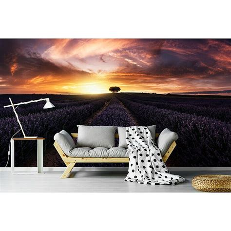 Papermoon Premium Collection Fototapete Lavendel Sunset B X H X