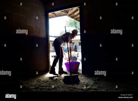 Mucking Out Stable Fotos Und Bildmaterial In Hoher Aufl Sung Alamy