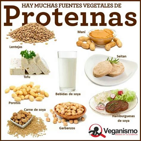 Proteinas Alimentos Con Proteinas Alimentos Nutrici N