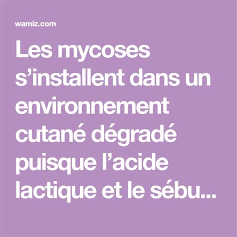 Soigner Les Mycoses Du Chien Avec Des Soins Naturels Soins De La Peau