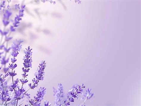 Light Purple Lavender Background | Premium AI-generated image