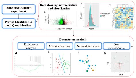 Ijms Free Full Text Bioinformatics Methods For Mass Spectrometry Based Proteomics Data Analysis